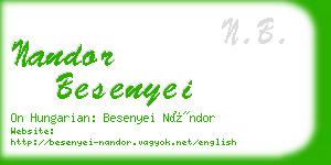 nandor besenyei business card